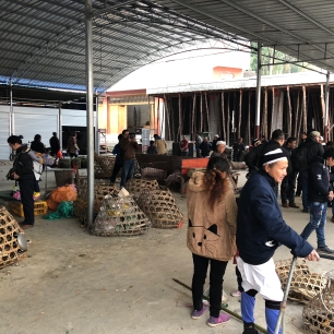 The portion of Lihu's town market where domestic animals are bought and sold, usually in basketry cages. December 16, 2017. Photograph by Jason Baird Jackson.